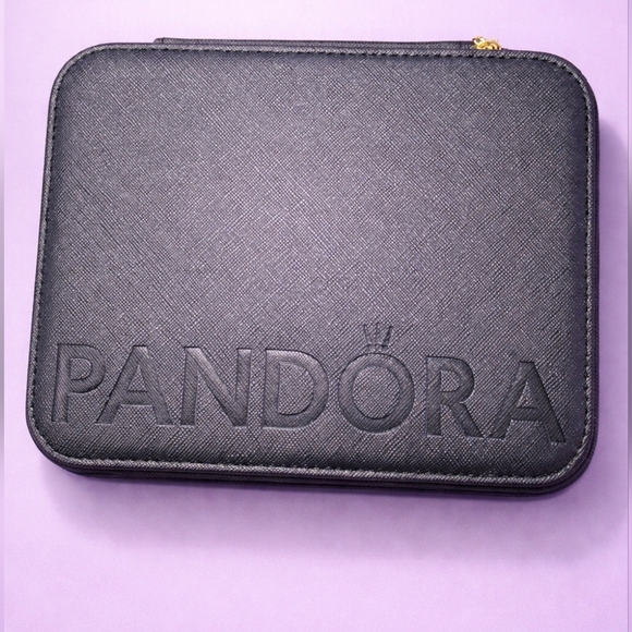 Pandora Other - NWOTS! Pandora Black Small Textured Hard Shell Case